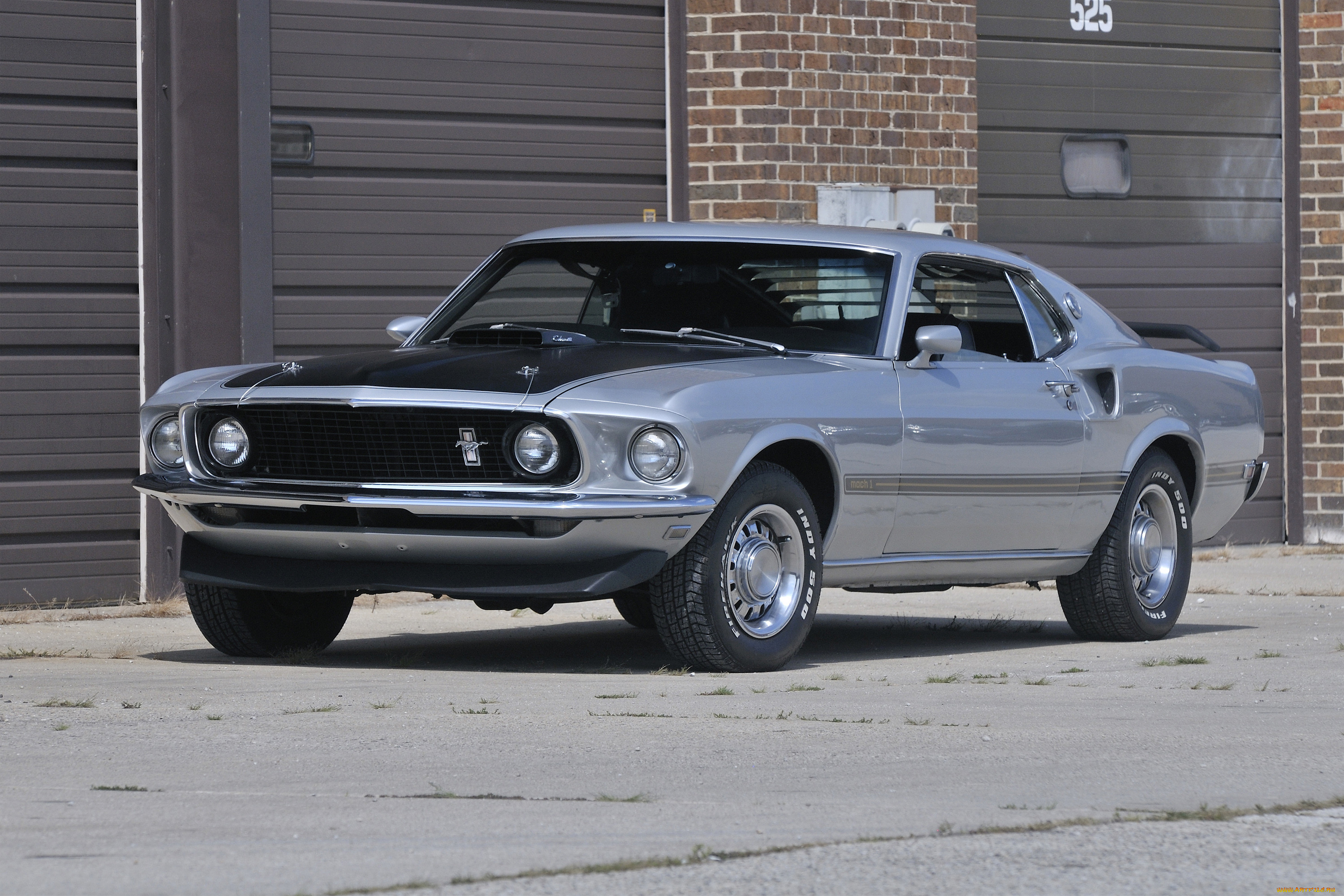 , mustang
